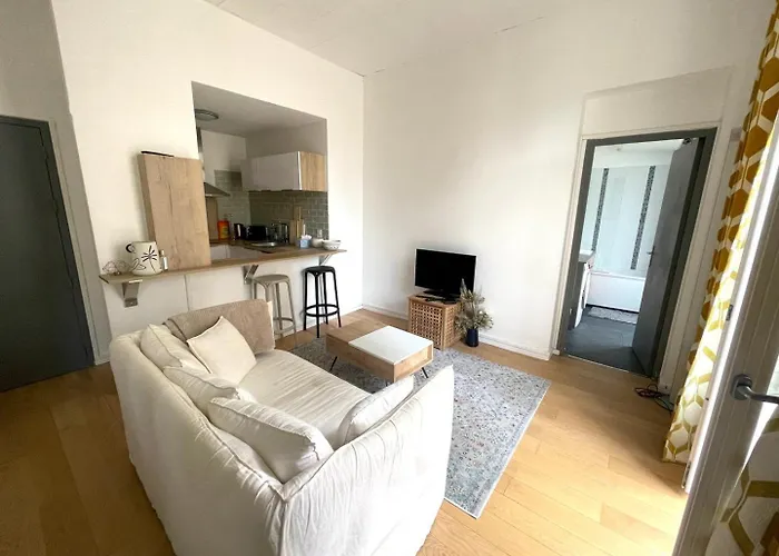 公寓 Avec Balcon - Jardin Public