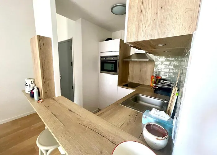 Apartmán Avec Balcon - Jardin Public Bordeaux